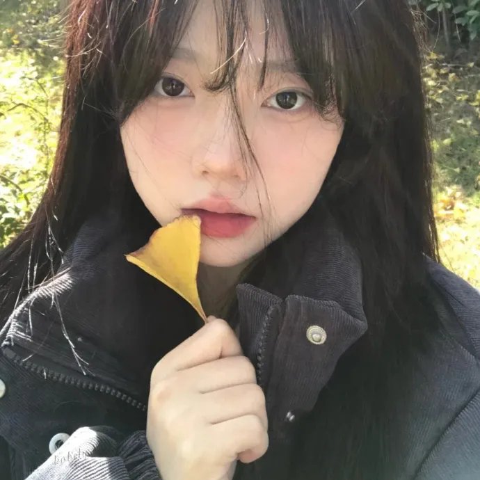 我的小马驹:最棒的礼物